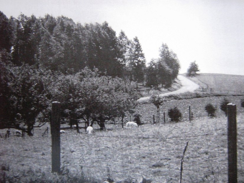 193- Blik op de Heiberg 1950